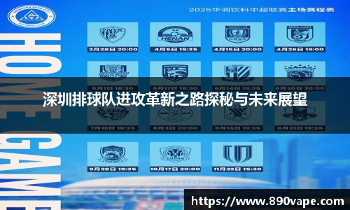 深圳排球队进攻革新之路探秘与未来展望